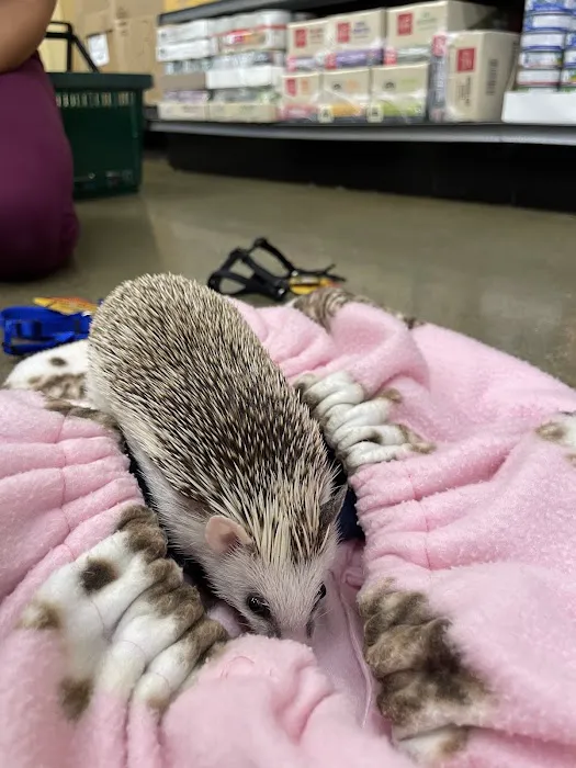 Hollywood Feed Picture 2