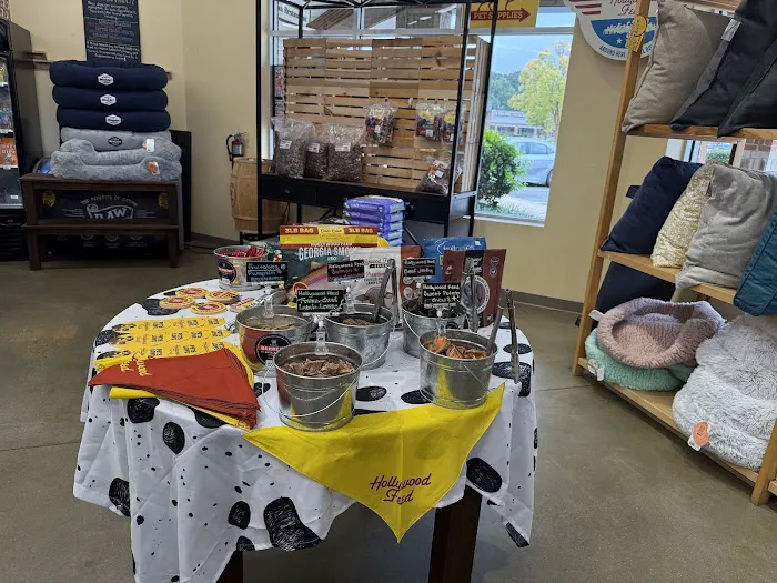 Hollywood Feed Picture 4