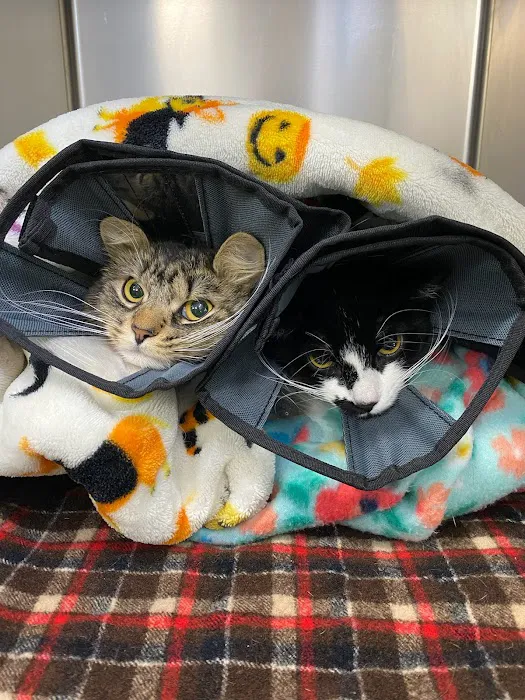 Denville Animal Hospital Picture 6