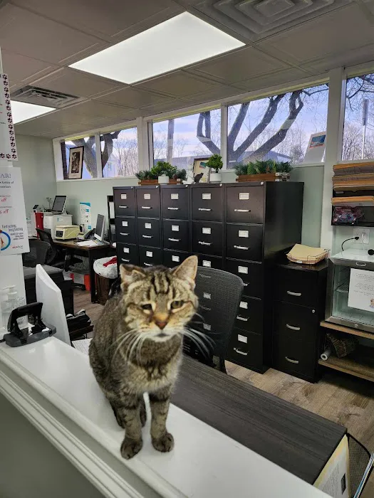 Denville Animal Hospital Picture 4