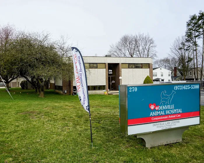 Denville Animal Hospital Picture 1