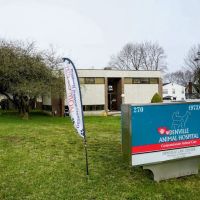 Denville Animal Hospital ico