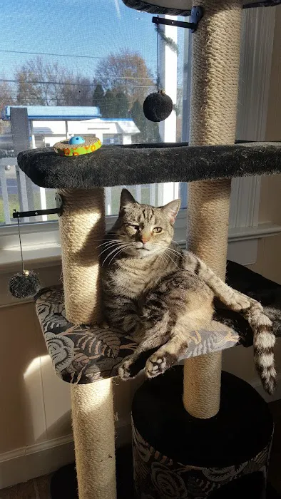 Denville Animal Hospital Picture 5