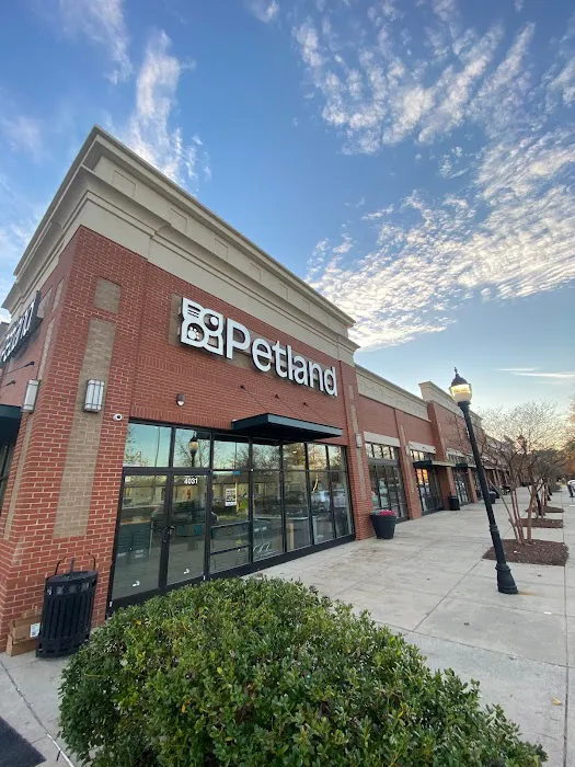 Petland Raleigh, North Carolina Picture 8