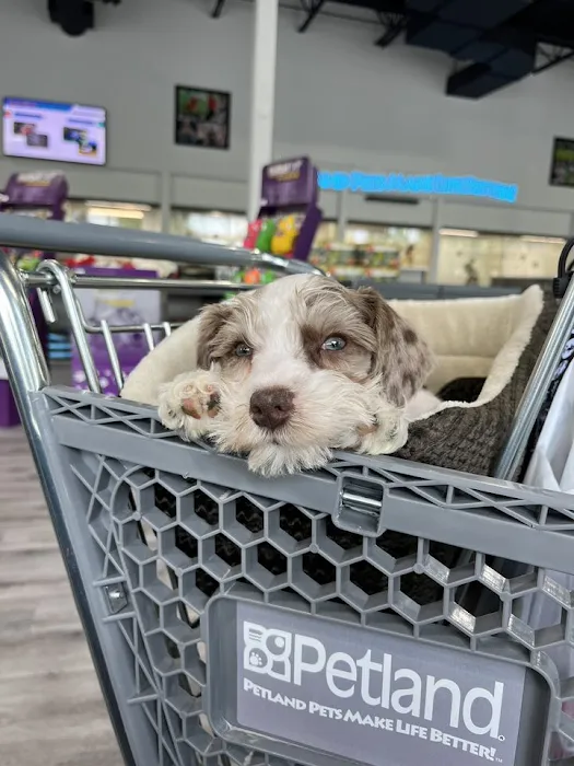 Petland Raleigh, North Carolina Picture 9