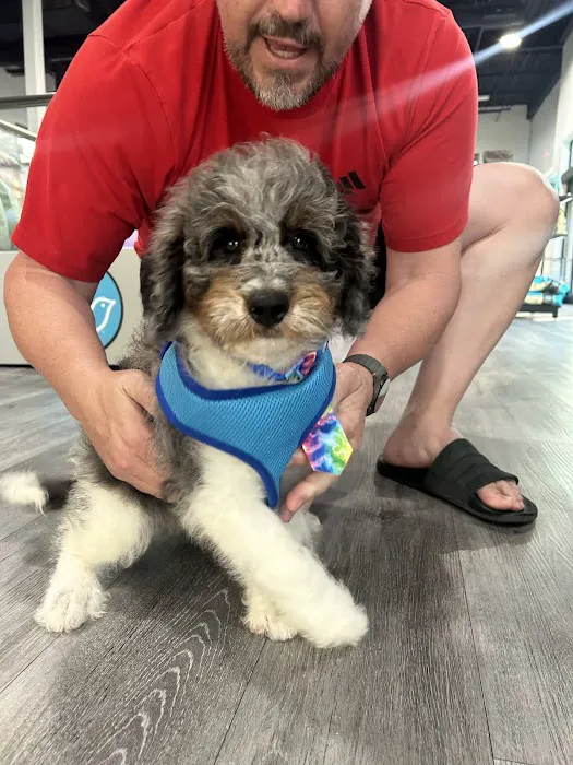 Petland Raleigh, North Carolina Picture 5