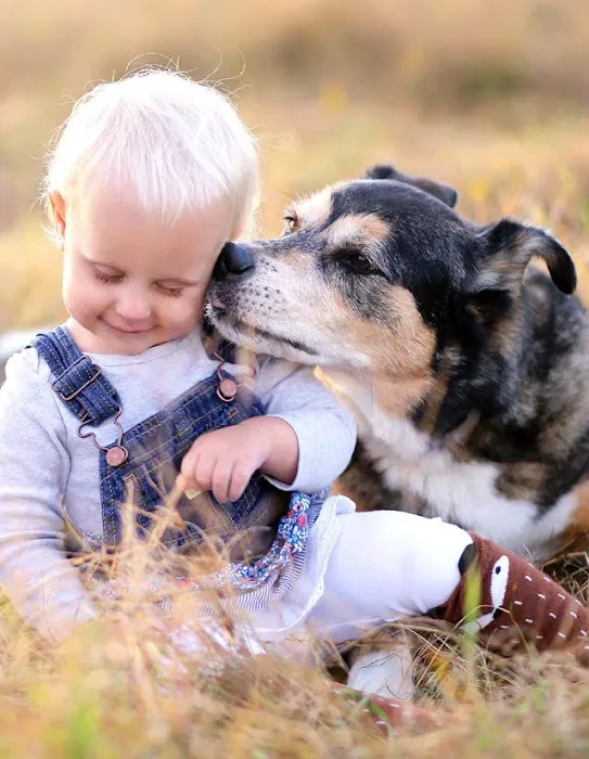 Petland Raleigh, North Carolina Picture 6