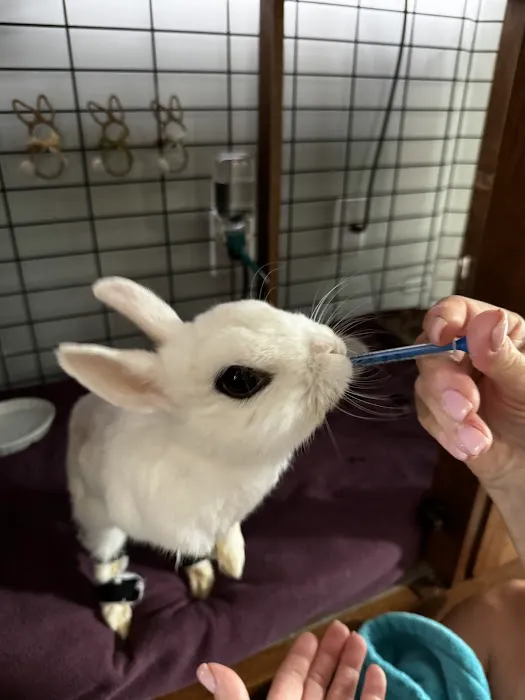 Community Animal Hospital Picture 1