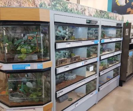 Petco