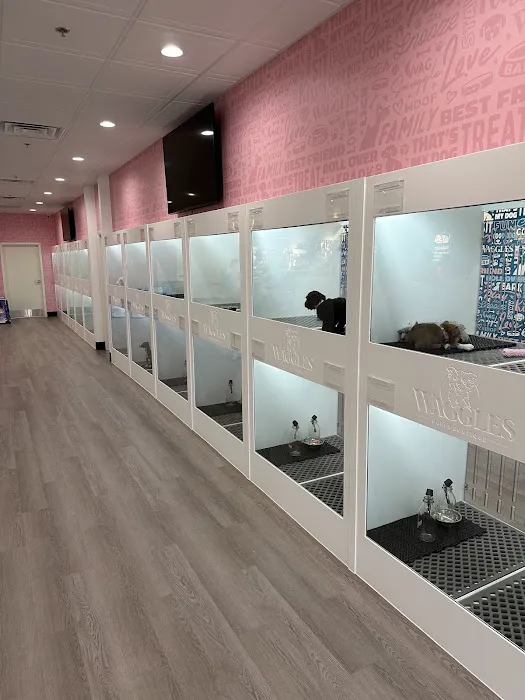 Waggles Raleigh Picture 6