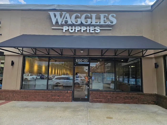 Waggles Raleigh Picture 1