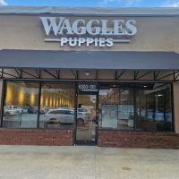 Waggles Raleigh ico