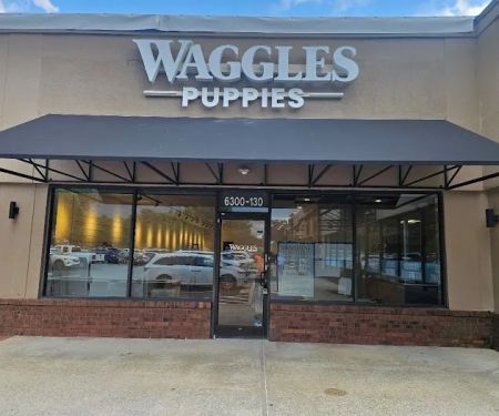 Waggles Raleigh
