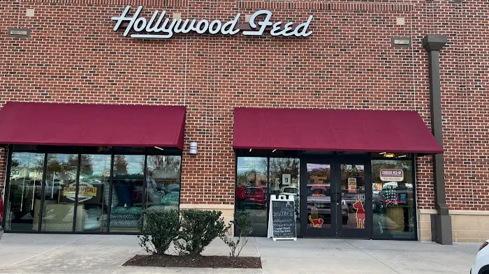 Hollywood Feed Picture 3