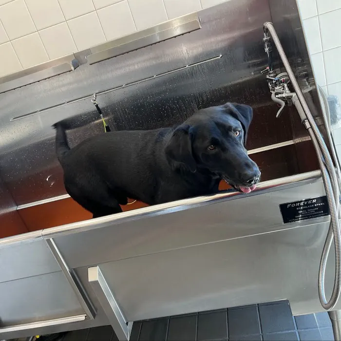 Hollywood Feed Picture 4