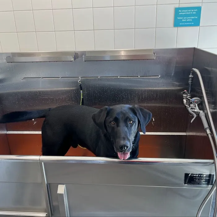 Hollywood Feed Picture 6