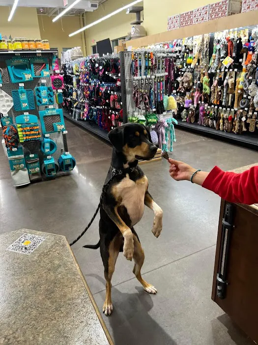 Hollywood Feed Picture 8