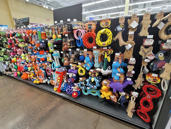 Hollywood Feed Picture 7