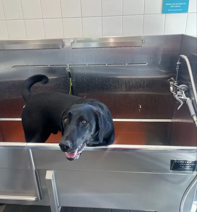 Hollywood Feed Picture 2