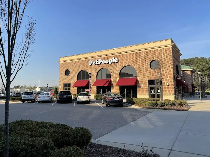 Hollywood Feed Picture 1