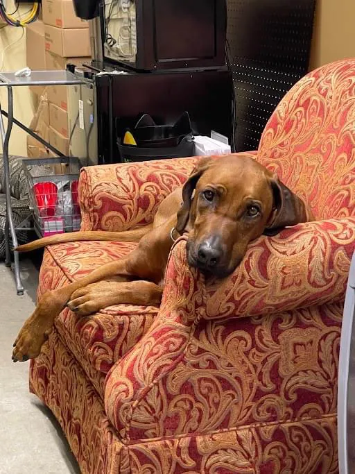 Hollywood Feed Picture 5