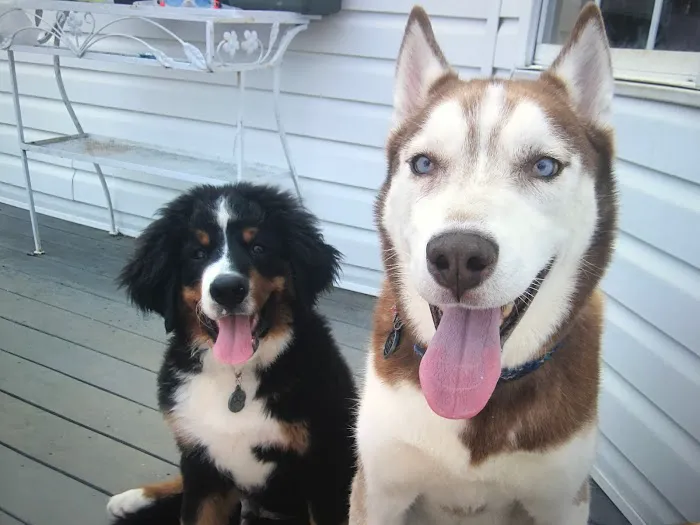 South Brunswick Animal Hospital Picture 1