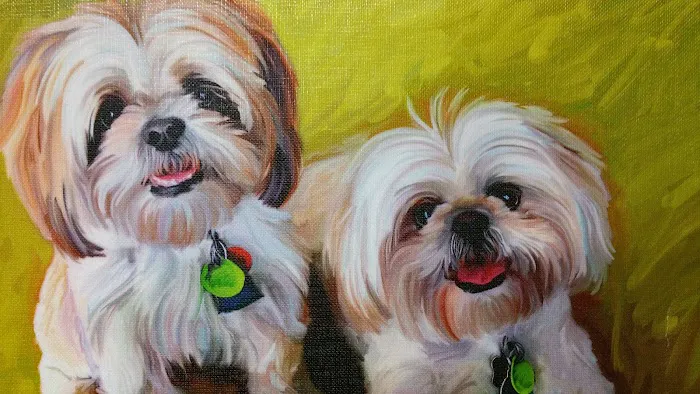 South Brunswick Animal Hospital Picture 5