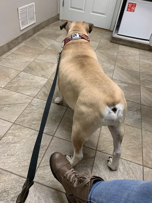 South Brunswick Animal Hospital Picture 7