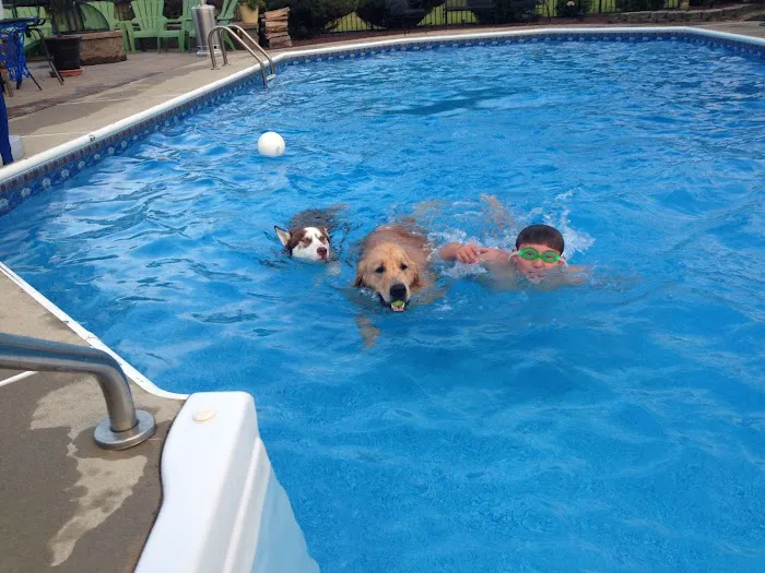 South Brunswick Animal Hospital Picture 9