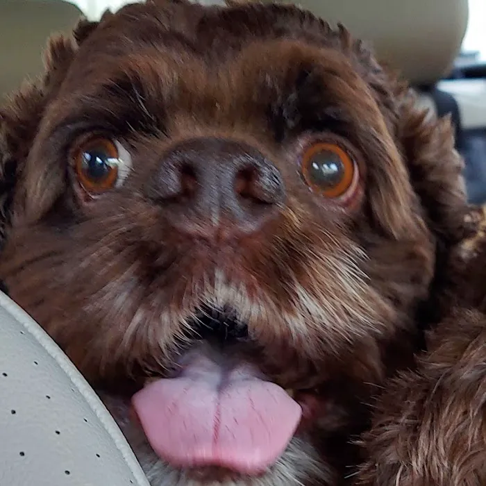 South Brunswick Animal Hospital Picture 2