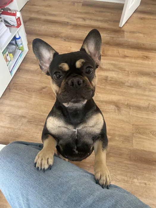 South Brunswick Animal Hospital Picture 4