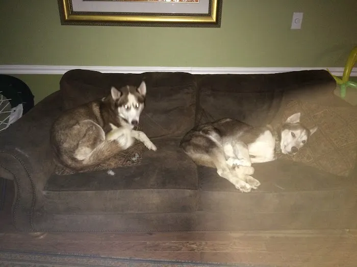 South Brunswick Animal Hospital Picture 8