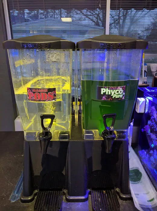 Fintastic Aquariums of Wake County Inc Picture 6