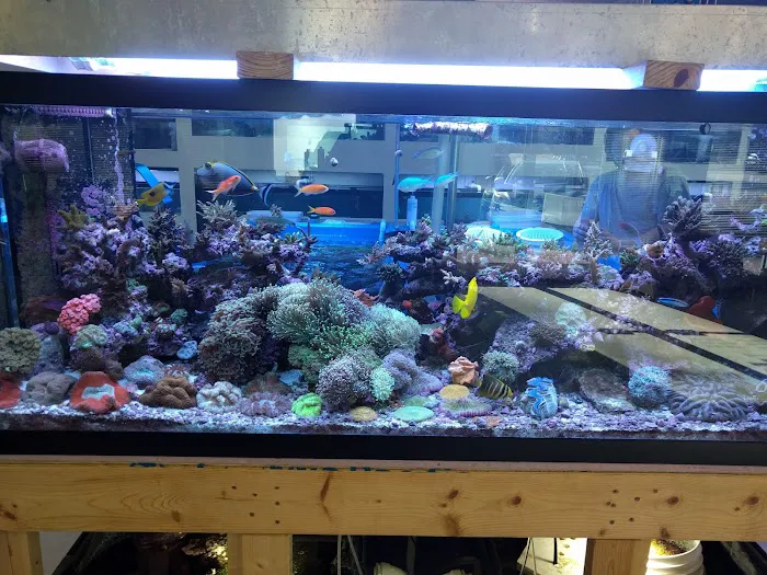 Fintastic Aquariums of Wake County Inc Picture 5