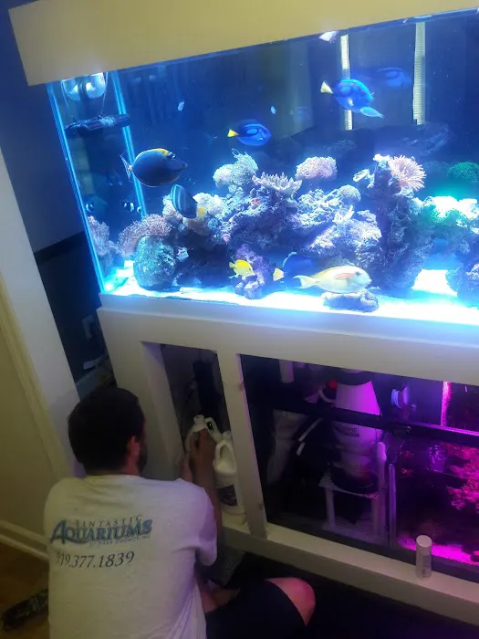 Fintastic Aquariums of Wake County Inc Picture 8