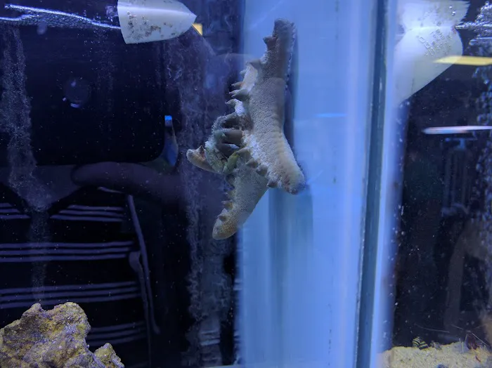 Fintastic Aquariums of Wake County Inc Picture 2