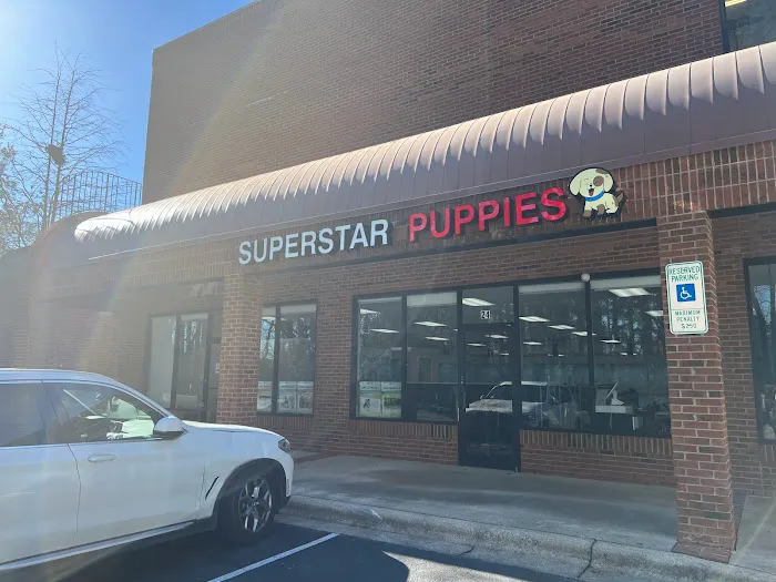 Superstar Puppies For Sale Raleigh Picture 3