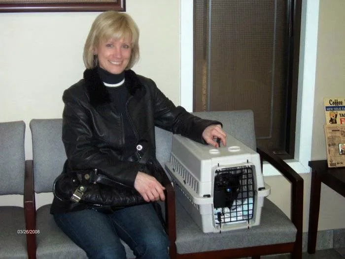 Edgebrook Animal Hospital Picture 7