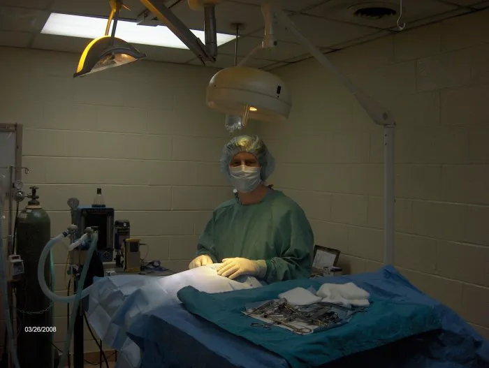 Edgebrook Animal Hospital Picture 5