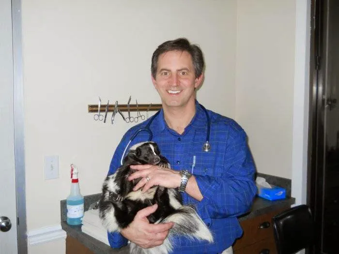 Edgebrook Animal Hospital Picture 3