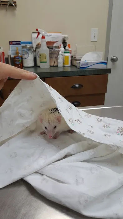 Edgebrook Animal Hospital Picture 4