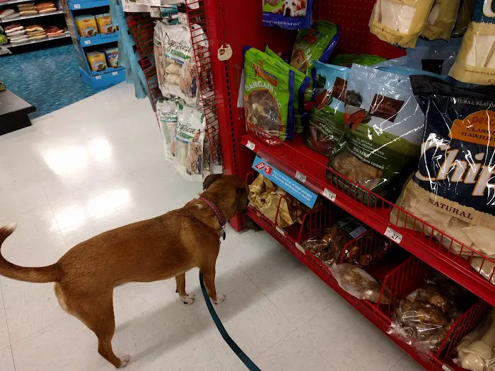 Petco Picture 7