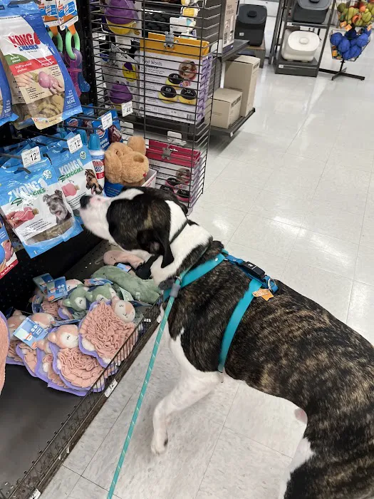 Petco Picture 9