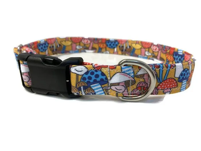 Mutt Stuff Picture 3