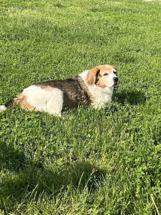 NVA Compassion-First Picture 1