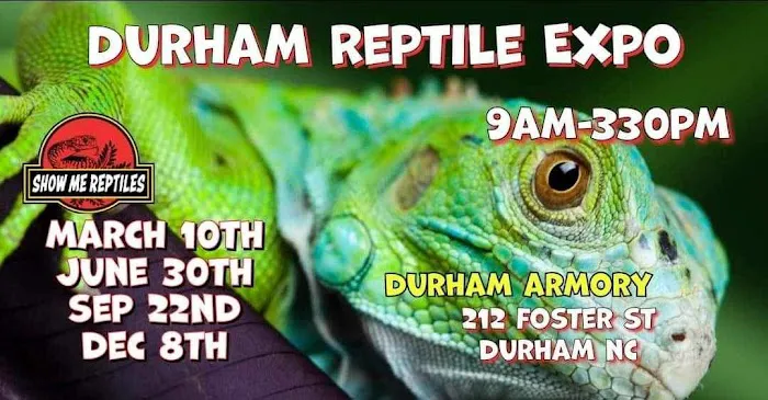 Durham Reptile Expo Show Me Reptile Show Picture 1