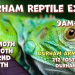 Durham Reptile Expo Show Me Reptile Show