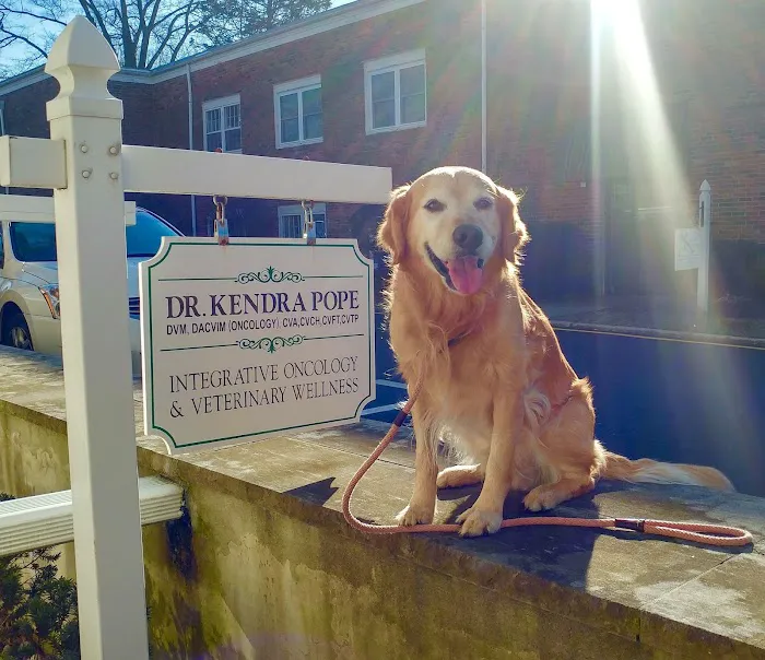 Prism Integrative Veterinary Health Picture 3