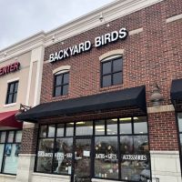 Backyard Birds and Gifts, Inc. ico