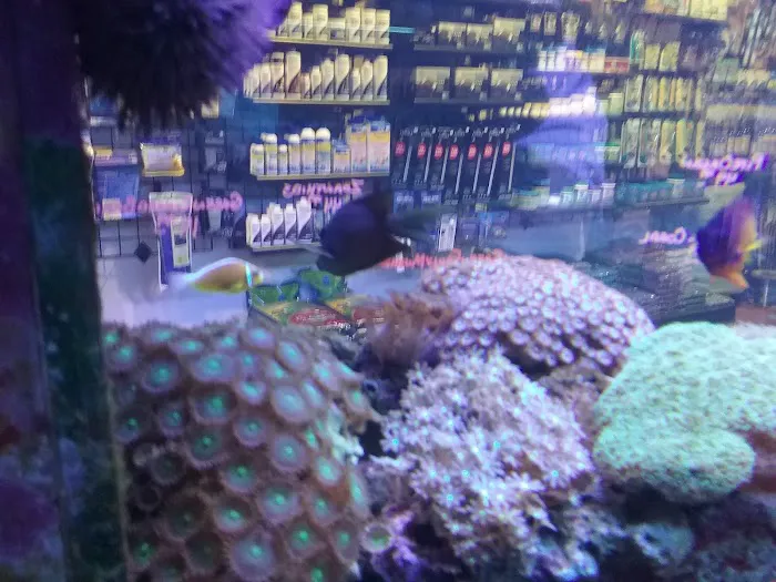 Fish Room Picture 10